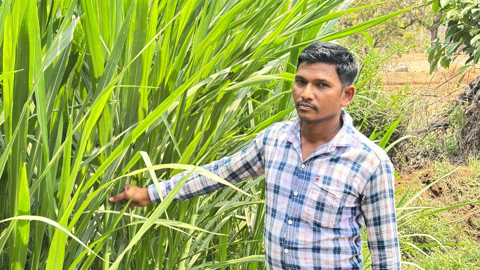 दंतेवाड़ा के ललित यादव बने मिसाल, डेयरी और मल्टी-फार्मिंग से लिखी सफलता की कहानी